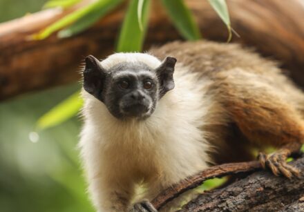 5.2. foto mardônio vieira fjzb2