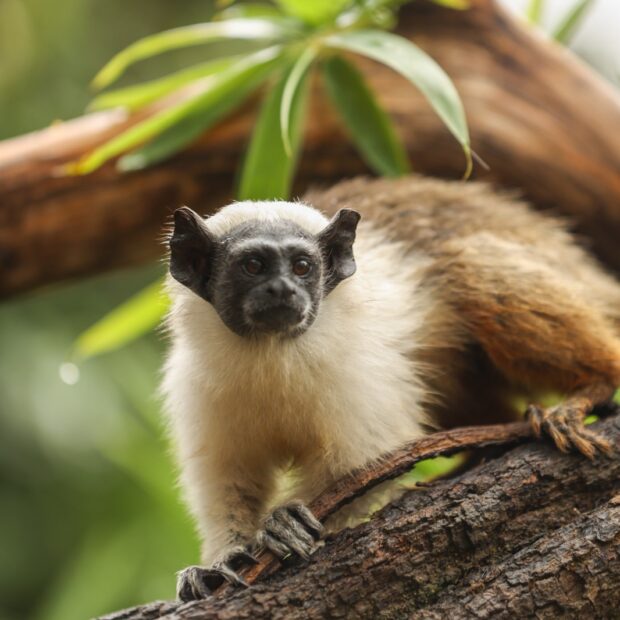 5.2. foto mardônio vieira fjzb2