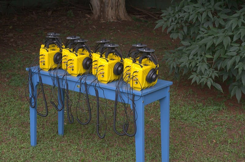 módulos sonoros botânica crédito iain mott (1)