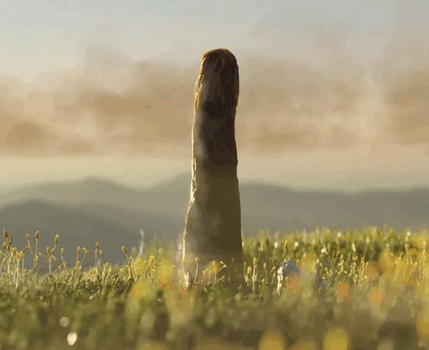 cientistas descobrem ser vivo que não se encaixa em categorias conhecidas