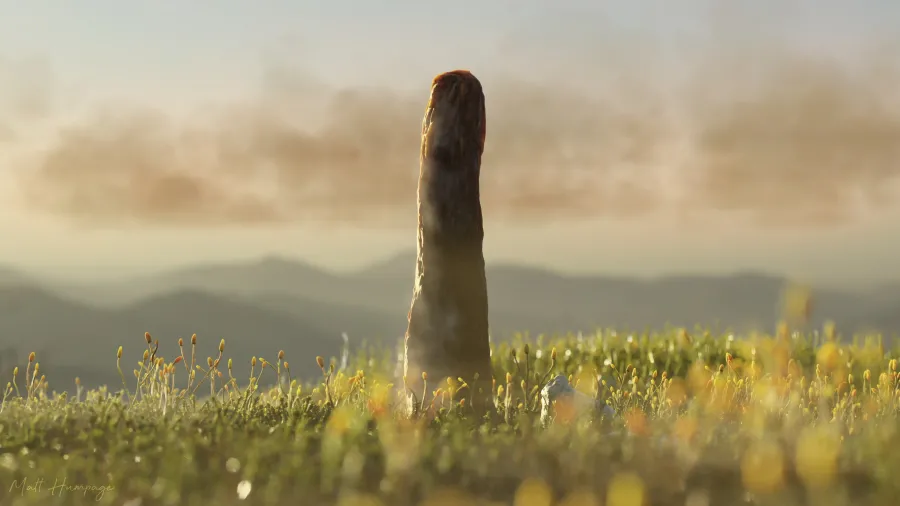 cientistas descobrem ser vivo que não se encaixa em categorias conhecidas