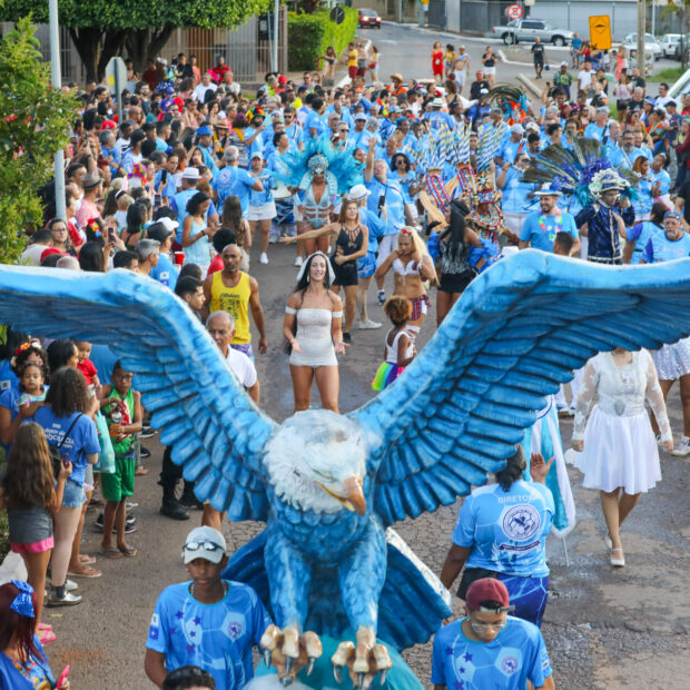 tradicional agremiação do carnaval brasiliense aruc no df foto joel rodrigues agência brasília (5)