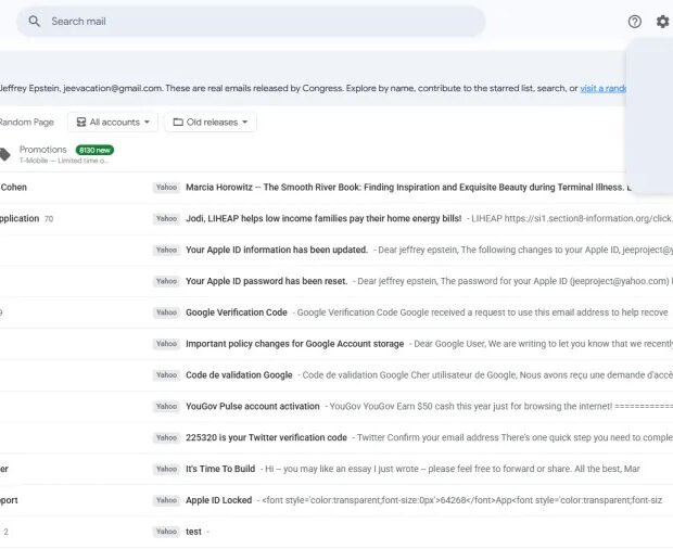 americanos criam site que simula e mail de epstein com arquivos revelados