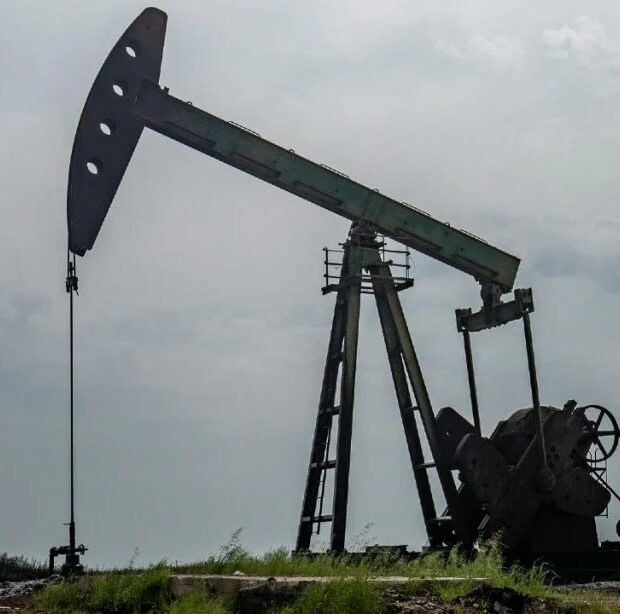 Foto: DELIL SOULEIMAN / AFP