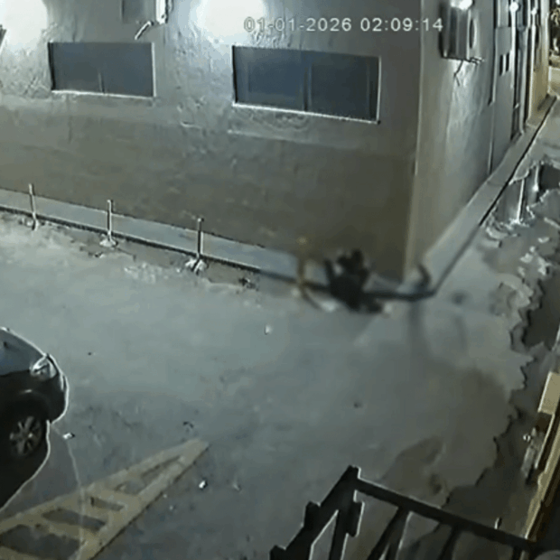 imagem mostra comparsa aguardando assaltante sair de apartamento da advogada em goiania