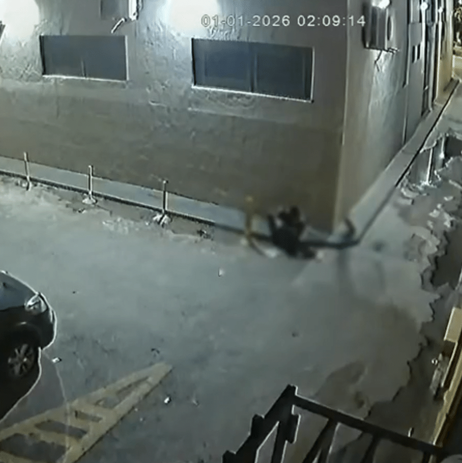 imagem mostra comparsa aguardando assaltante sair de apartamento da advogada em goiania