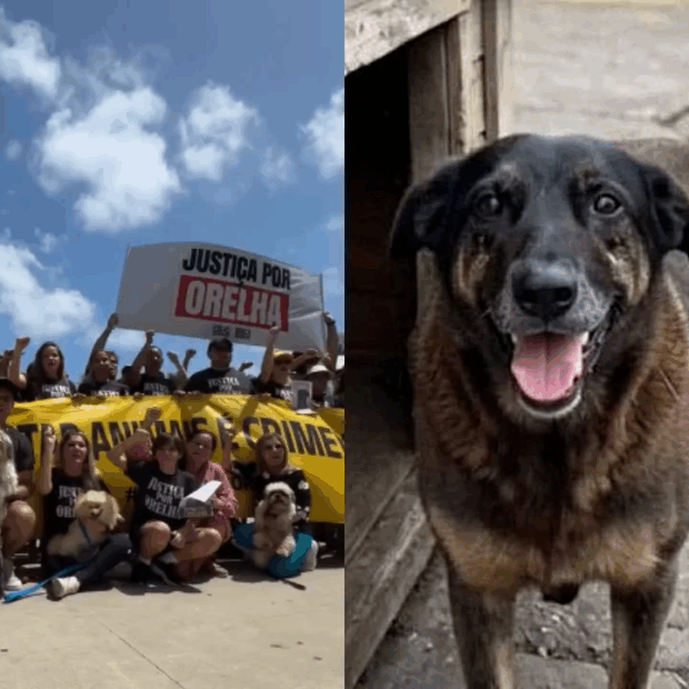 protesto orelha fortaleza
