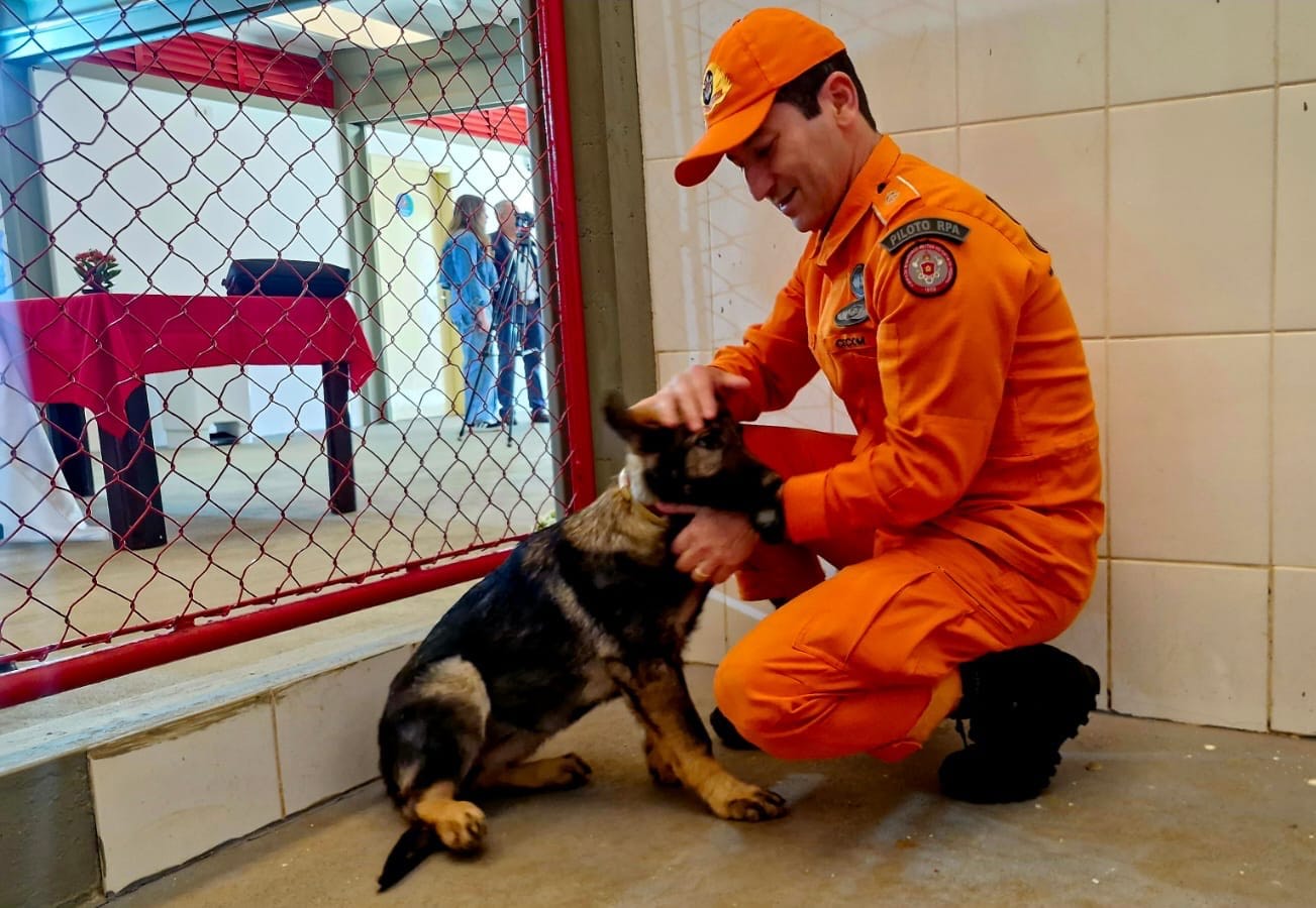 60b72d28 5f1b 437d bc9c 8c5f935af04b