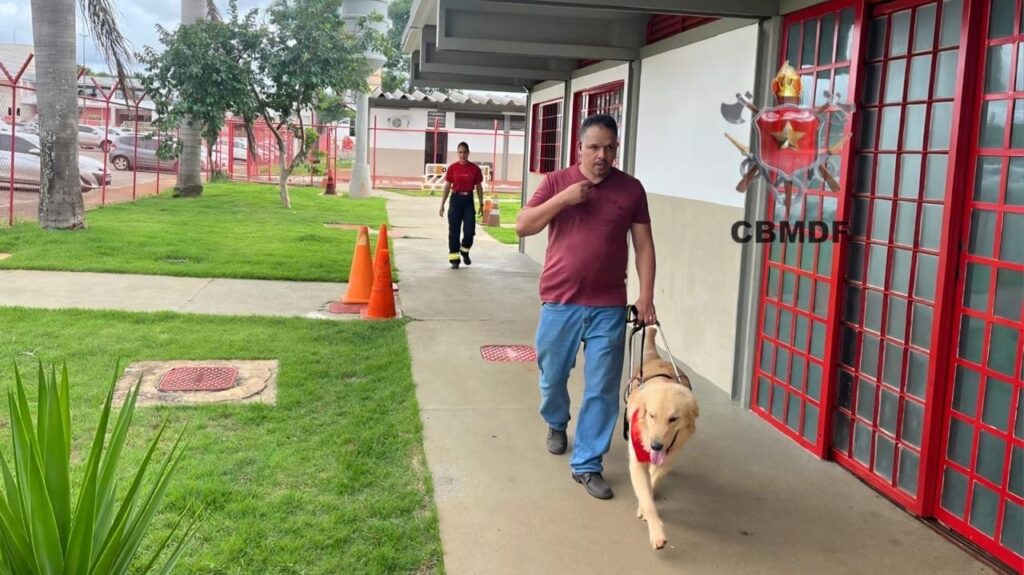 1e13da2f e269 433e 9d5f d51ab74a1425