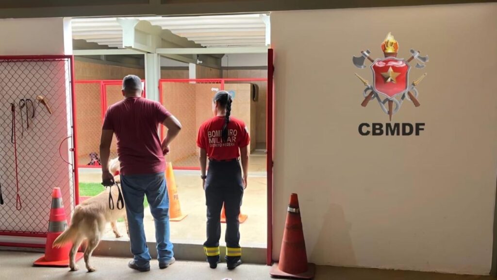 5dfc4eca 7e11 45b5 bfea 0c12578a2229