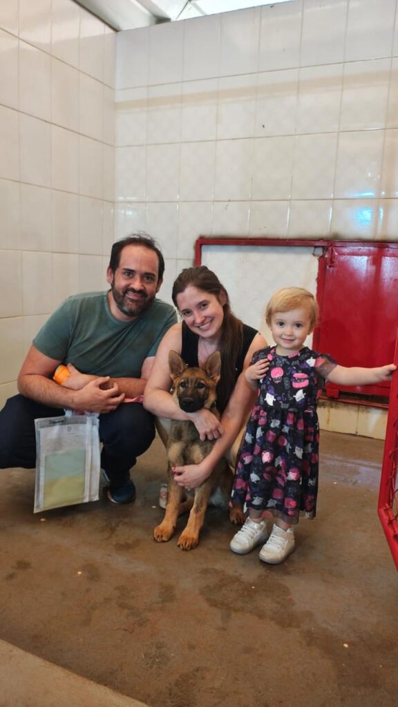 3700abb2 2524 426a b43e 3bdd38380dde