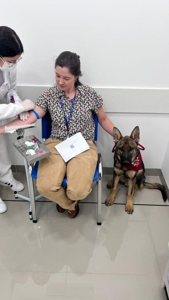 f746424d b0a8 40d2 8afa 3ae580e50018