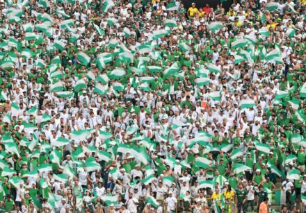 fbl libertadores palmeiras flamengo fans