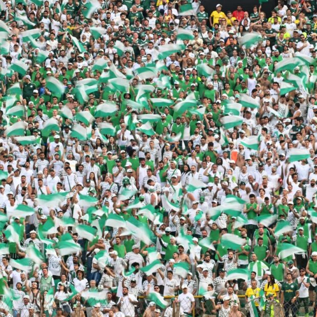 fbl libertadores palmeiras flamengo fans