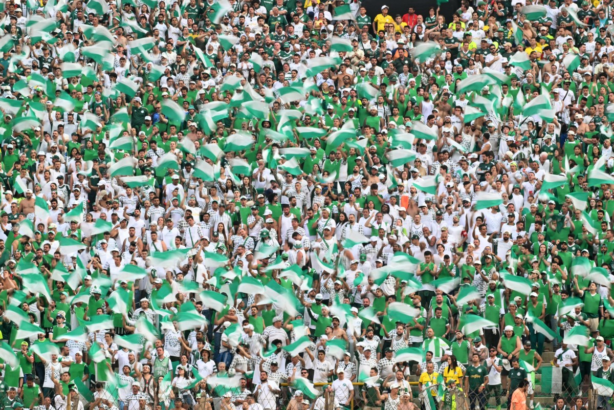 fbl libertadores palmeiras flamengo fans