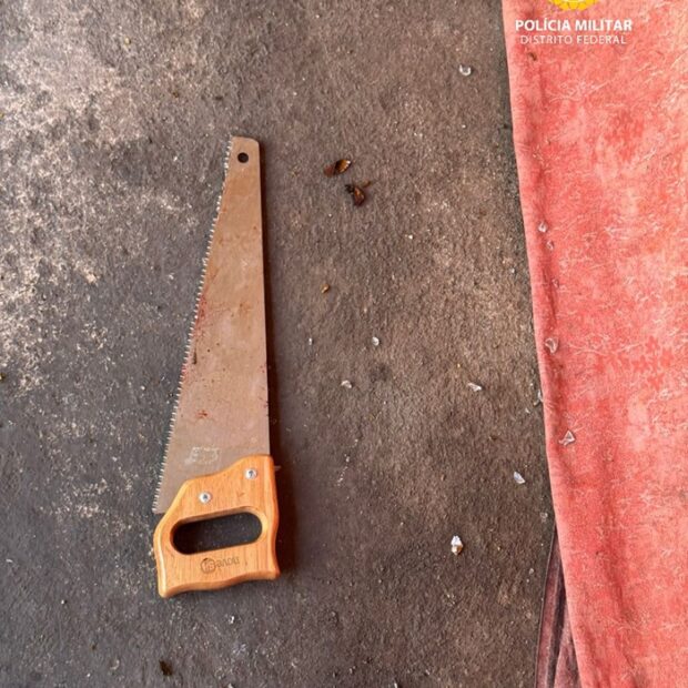 whatsapp image 2026 02 07 at 19.08.45