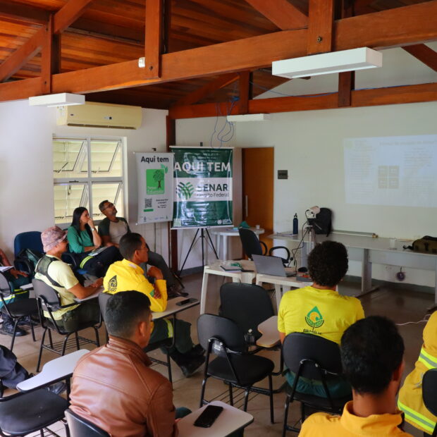 brigadistas federais bsb