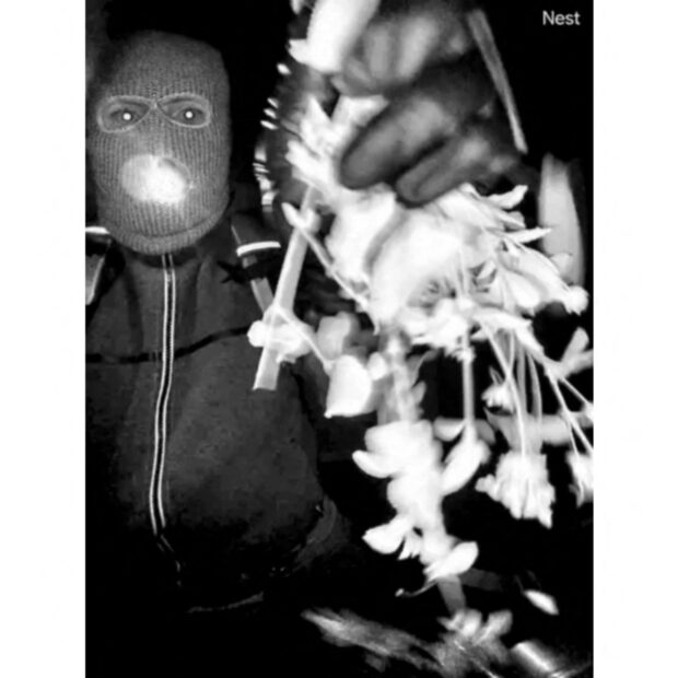 arctic blast leaves half of us in bitter cold