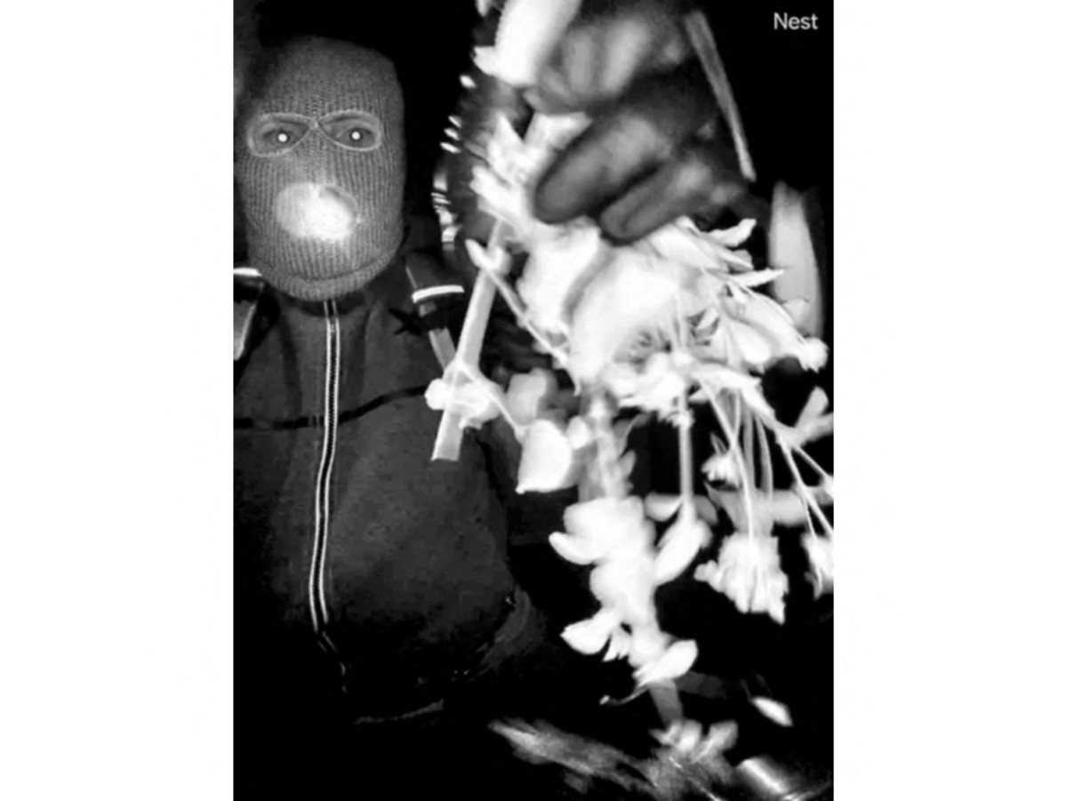 arctic blast leaves half of us in bitter cold