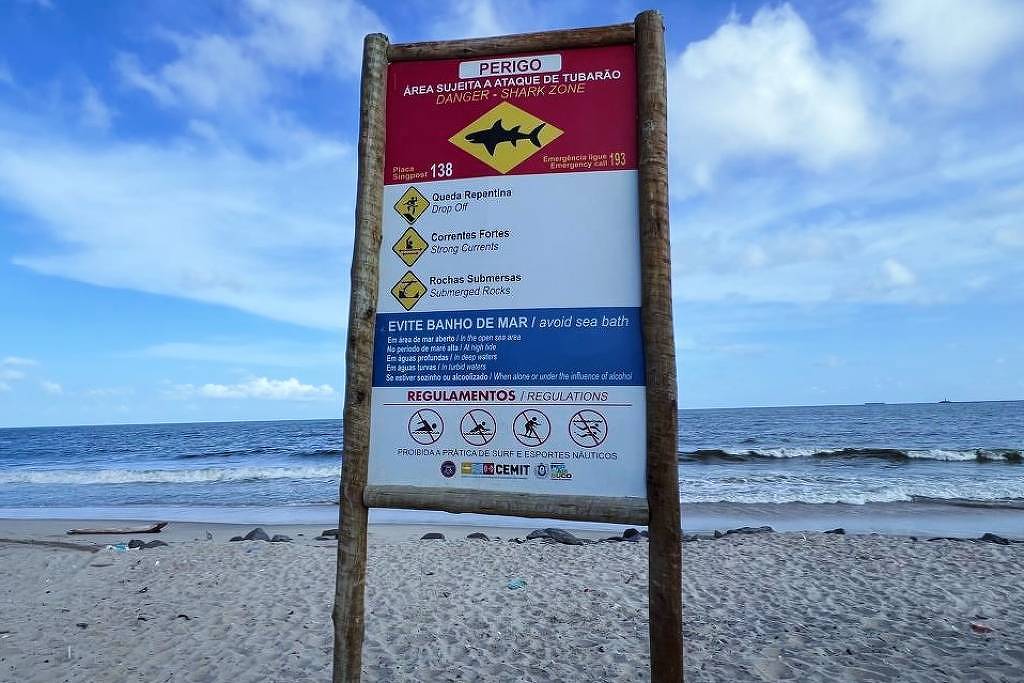 monitoramento de tubarões em pernambuco está parado há mais de uma década