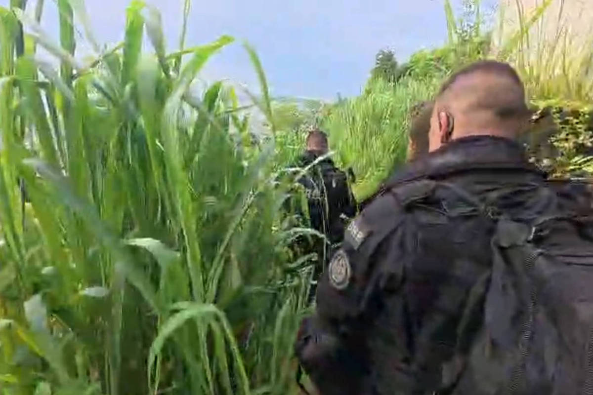 Foto; Reprodução/PCERJ