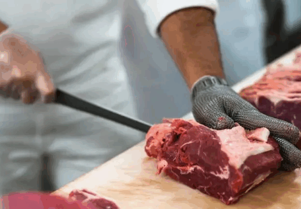 setor de carne brasil