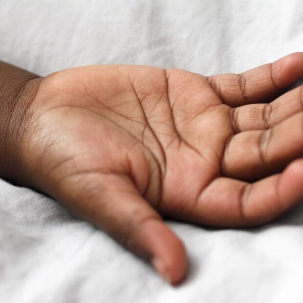 cat6719 hand 663726 1280