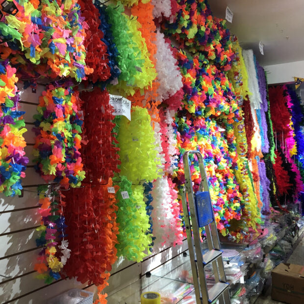 Foto: Caroline Purificação/Jornal de Brasília