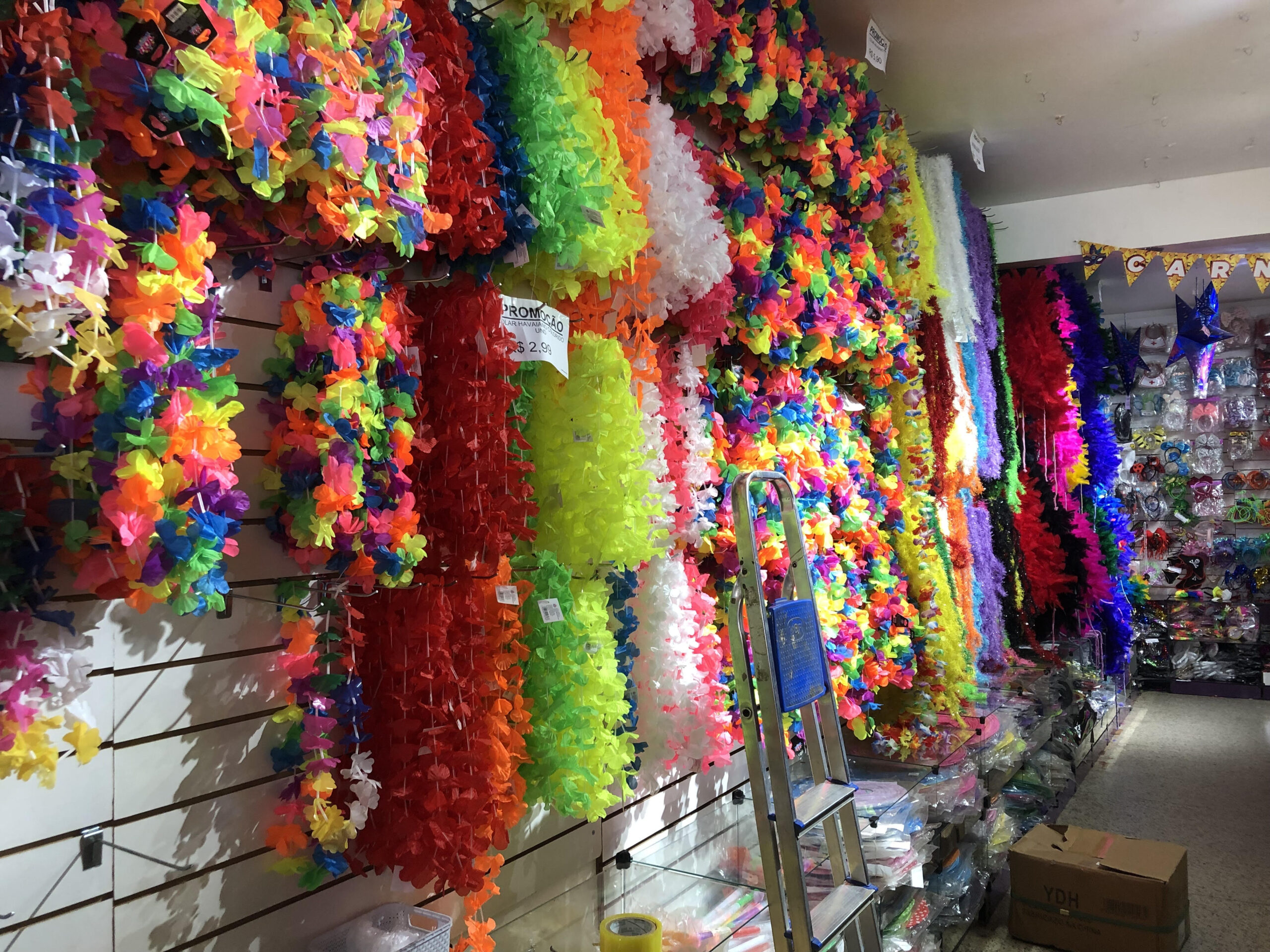 Foto: Caroline Purificação/Jornal de Brasília