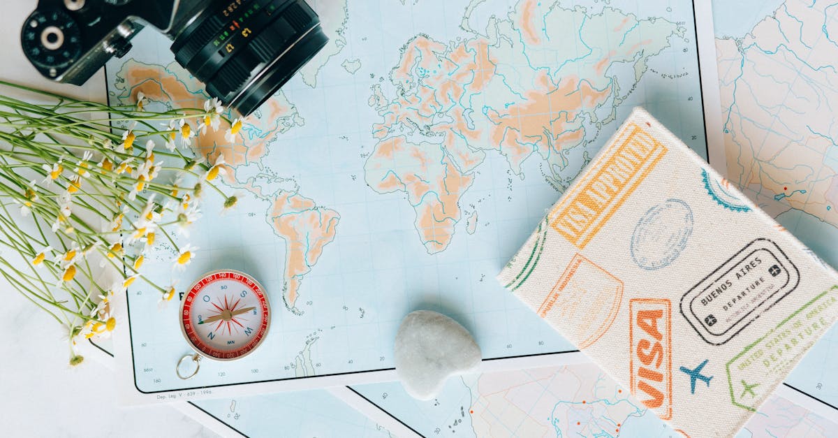 pexels photo 7235804