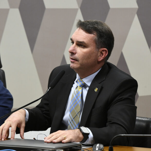 csp comissão de segurança pública