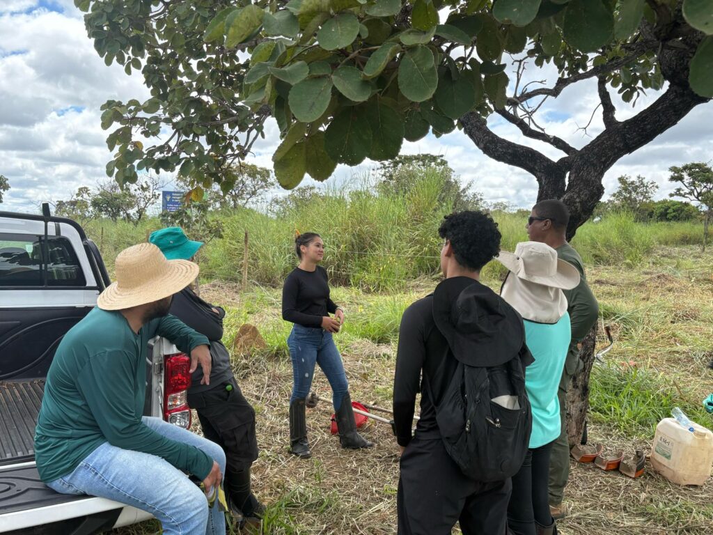 19833c31 7b38 4ecd 90ac 69dc4b9259b3