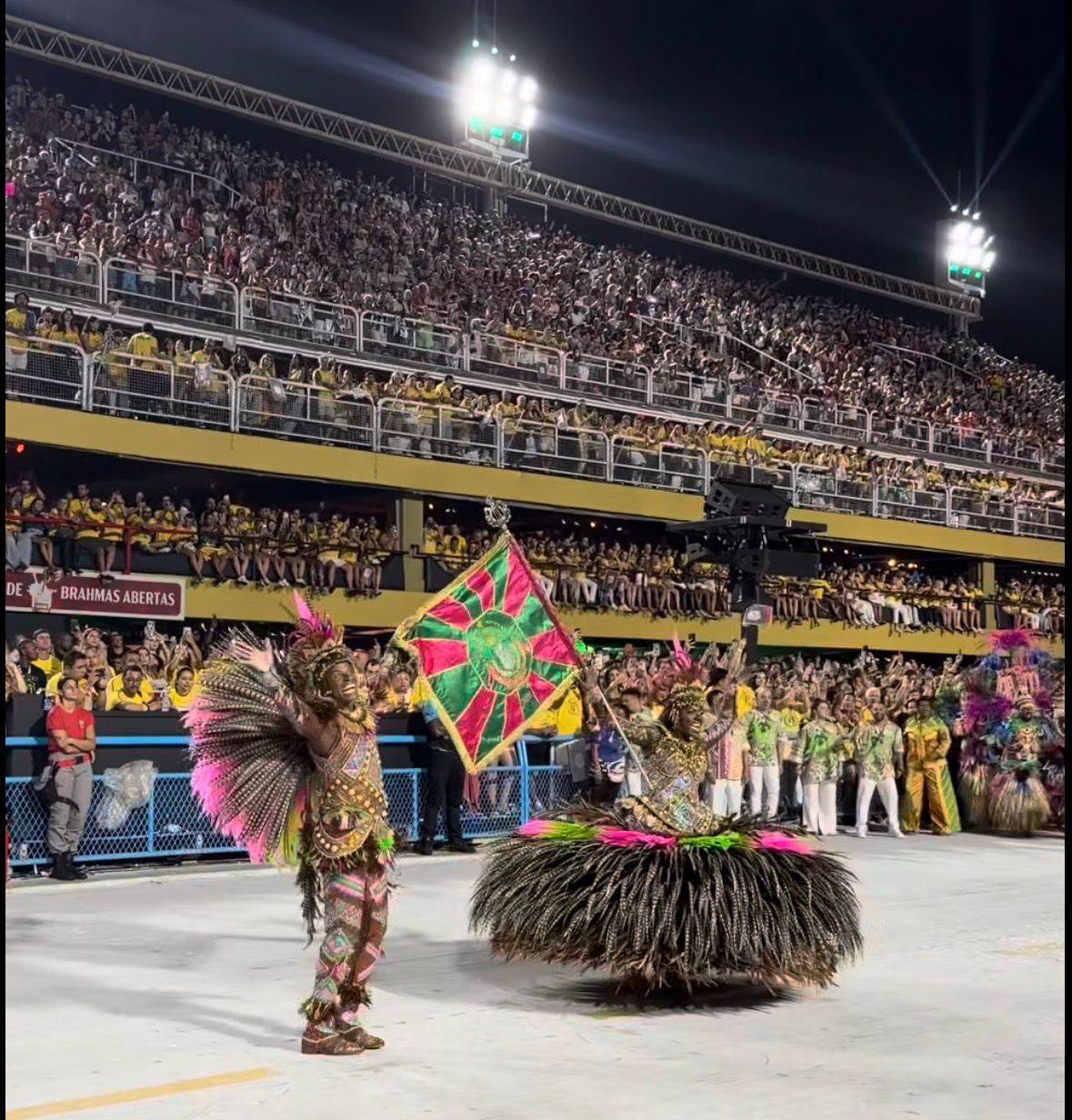 mangueira carnaval rj