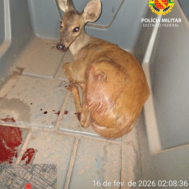 5a996c38 4e08 482b 833e f8ab3487c36e