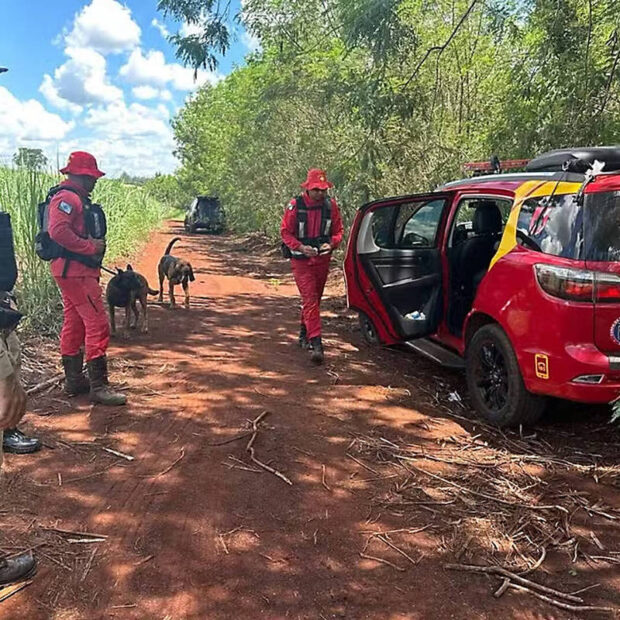Foto: Polícia Civil/PM-PR