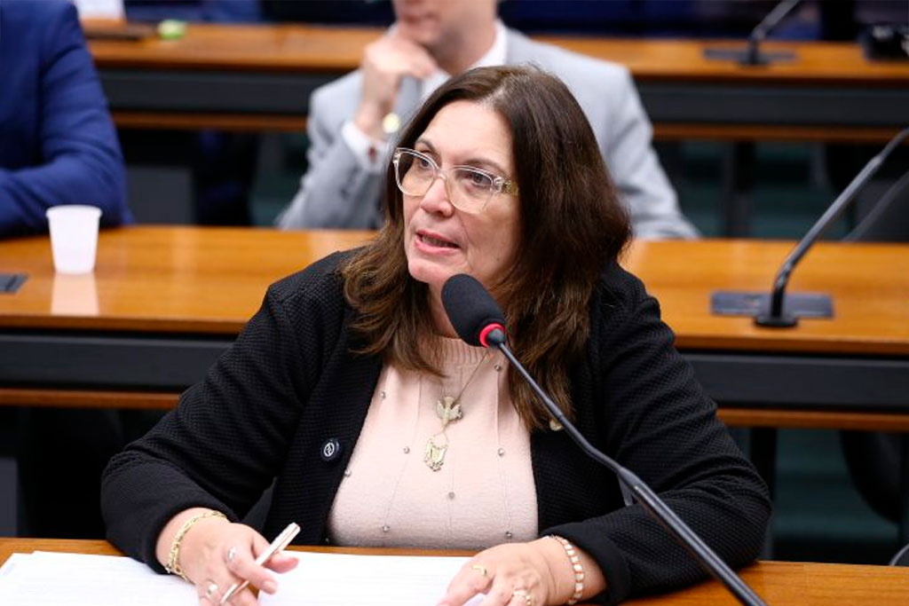 Foto: Vinicius Loures/Câmara dos Deputados