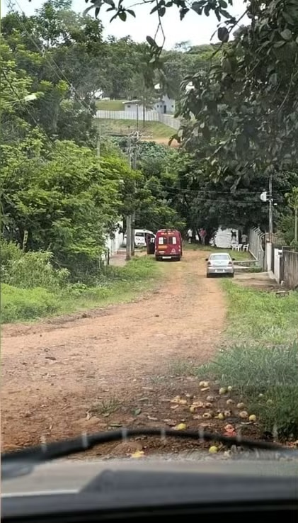 buscas por bebê recém-nascido