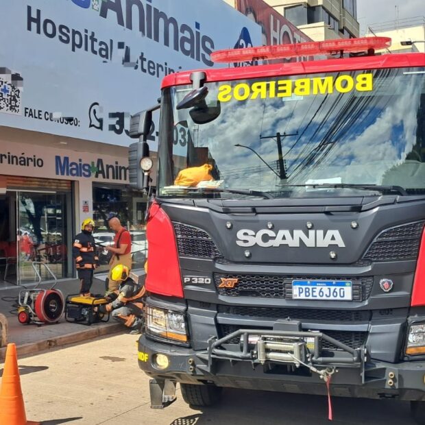 96bf3cff 5507 47ac 8077 6647150126f9