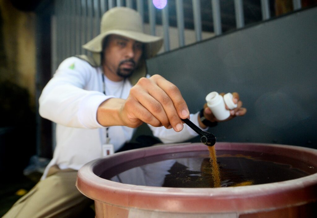 Foto: Divulgação/SES-DF