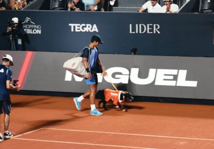 imagem ação golden