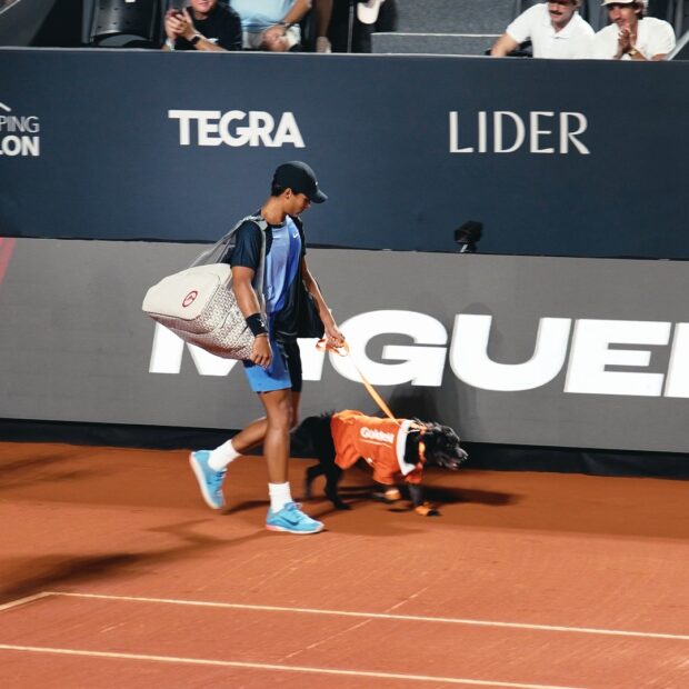 imagem ação golden