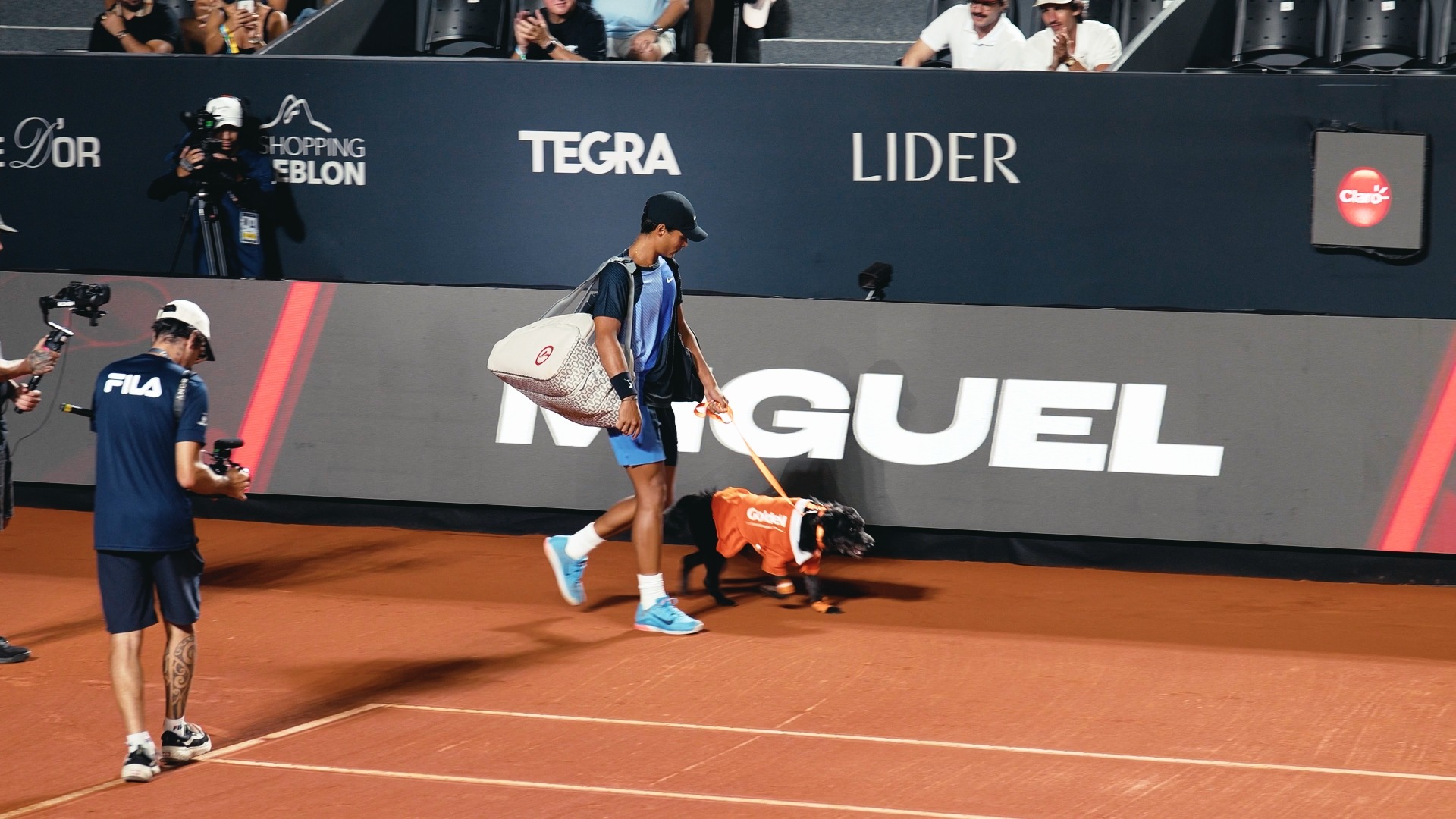 imagem ação golden