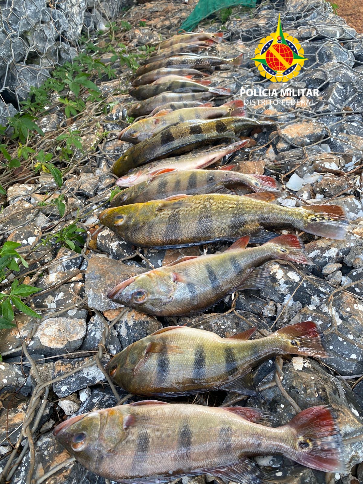 whatsapp image 2026 02 21 at 12.24.35