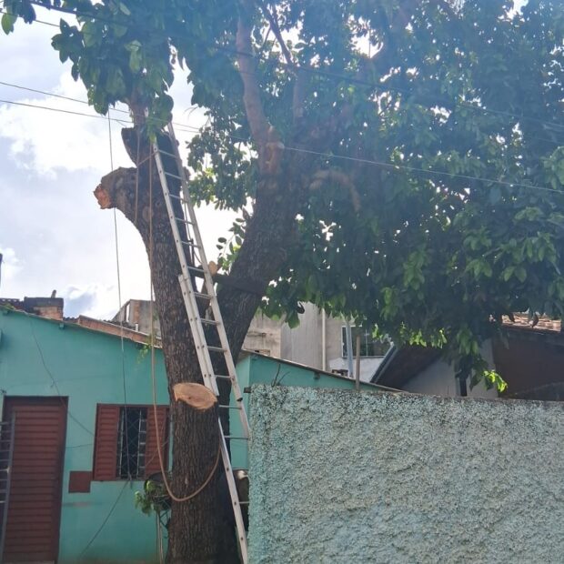 whatsapp image 2026 02 21 at 16.58.52