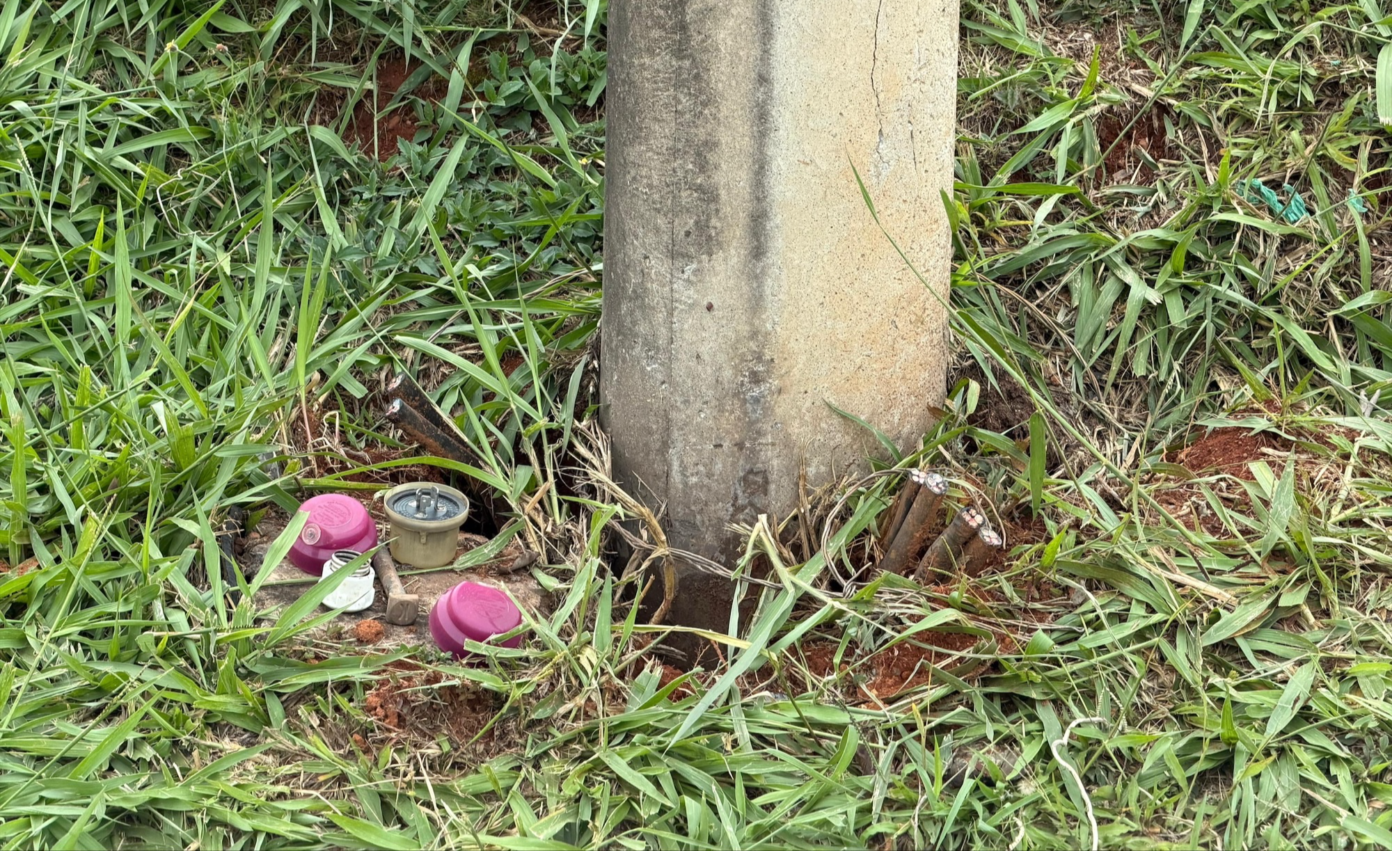 processed 296fda1d f0e2 4b15 bbcc 26cb9aed347c (1)