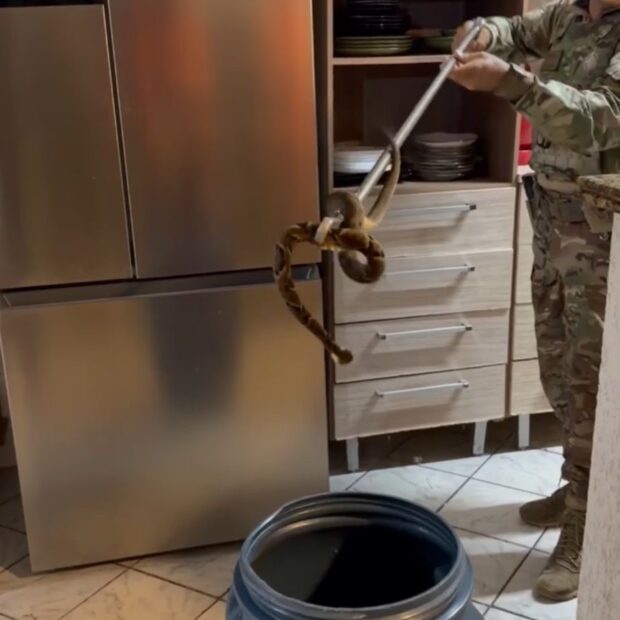 whatsapp image 2026 02 22 at 13.07.59