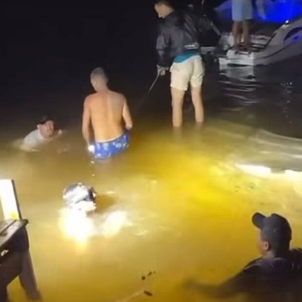 whatsapp image 2026 02 23 at 17.46.46