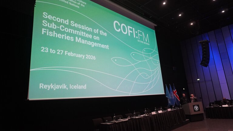 6f631dee 52f1 4a26 be03 048eca66017a