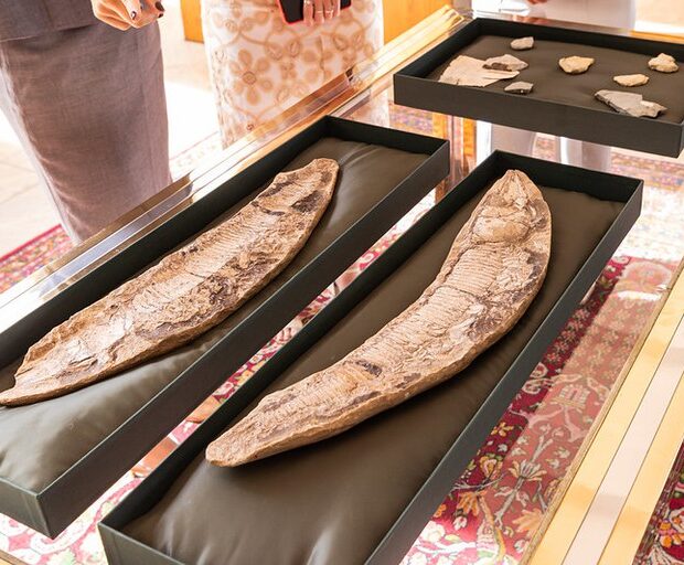 6a213948 31f6 4529 9d79 6b83ea7f210a