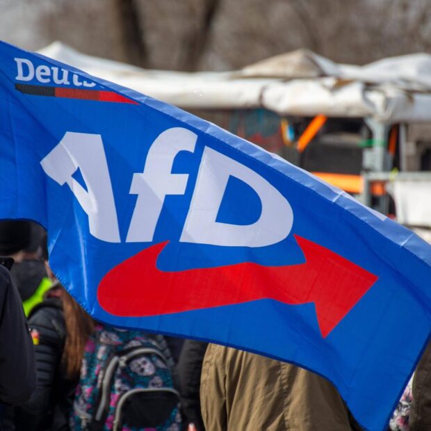 afd aemanha
